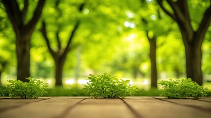 Obraz premium Lush trees and vibrant grass thrive on a rustic wooden floor, creating a unique park ambiance that blends nature with an artistic setting.
