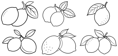 lemon fruits Outline Coloring Page Printable Line Art Drawing