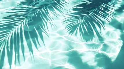 Tranquil water with the silhouette of lush leaves.