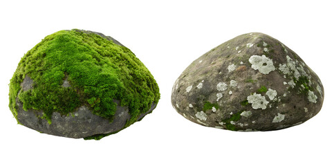 Two Different Mossy Rocks on Transparent Background, Textured, Nature Elements