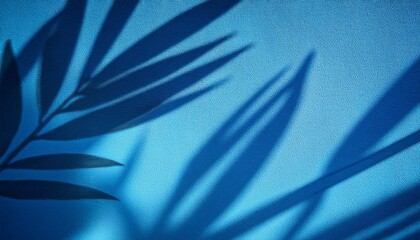 blue shadow of leaf on wall background