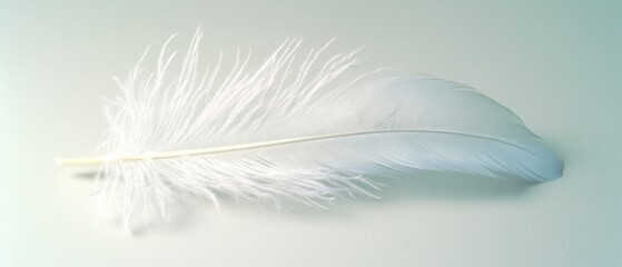Obraz premium A soft white feather rests gracefully on a neutral surface, capturing elegance and simplicity.