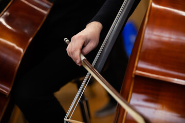 The hand of a musician playing the double bass