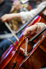  A fragment of cellos in the hands of musicians in an orchestra  © furtseff
