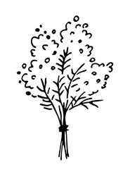 Bouquet of mimosa flowers, blooming branch. Spring holidays, decoration. Simple hand drawn vector drawing with black outline.