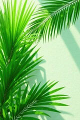 Fototapeta premium Large palm fronds with textured surface and natural light, foliage, botanical, palm