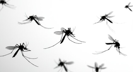 mosquitoes swarm, macro photography, blurred motion, white background, insect silhouettes, detailed wings, flying insects, pest control concept, disease vector
