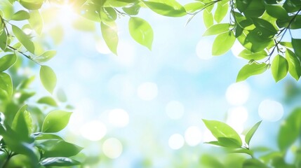 Obraz premium Lush green leaves frame a bright, sunny sky; bokeh effect.