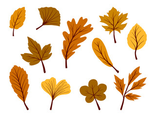 Obraz premium Autumn Aesthetic Warm Toned Leaves. A collection of warm-toned autumn leaves in various shapes and styles, featuring rich earthy colors. Perfect for nature-inspired projects, and fall-themed