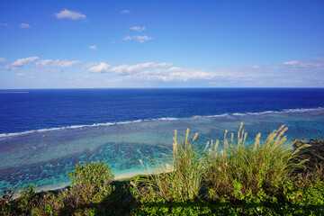 比嘉ロードパークの公園