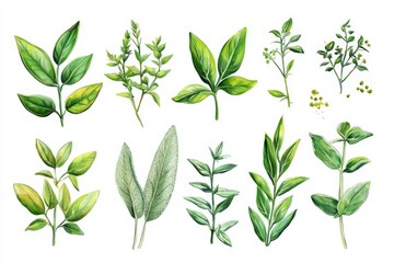 Unique ornamental elements showcasing botanical art.