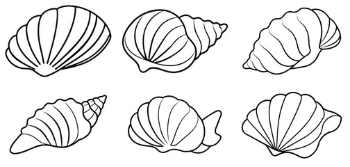 seashell Outline Coloring Page Printable Line Art Drawing
