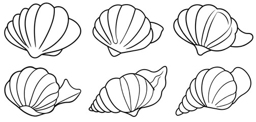 seashell Outline Coloring Page Printable Line Art Drawing