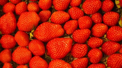 真っ赤なイチゴ