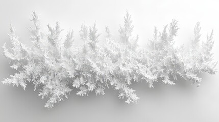 Obraz premium Abstract White Foliage with Delicate Texture on a Light Gray Background