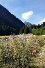 Wanderung zum Falbesoner Wasserfall