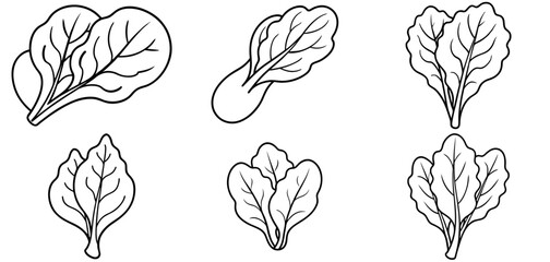 Spinach Vegetable Outline Coloring Page Printable Line Art Drawing