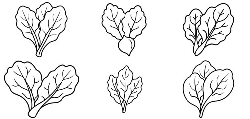 Spinach Vegetable Outline Coloring Page Printable Line Art Drawing