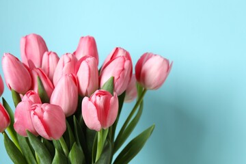Beautiful fresh tulips on color background