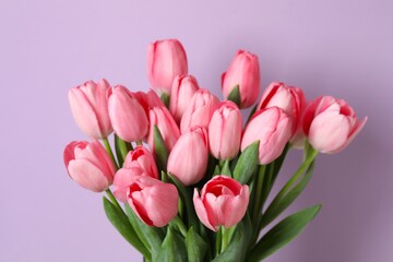 Beautiful fresh tulips on color background