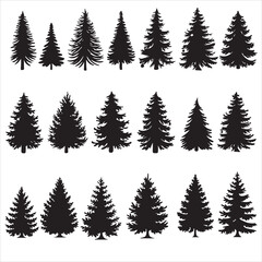 set vector various fir tree silhouettes