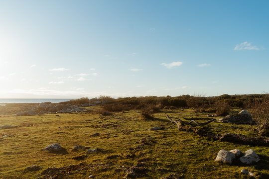 Coastal Grassland in N&auml;sbokrok, Sweden