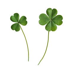 Four Leaf Clover