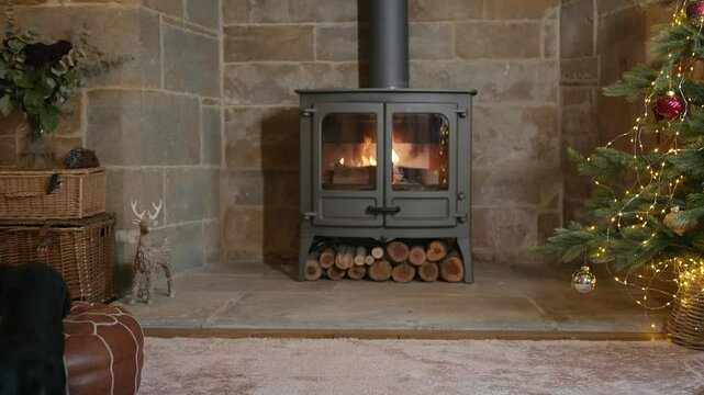A dog is sitting on a rug in front of a fireplace. The fireplace is surrounded by logs and a Christmas tree