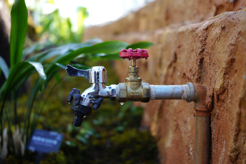 Outdoor water faucet on a brick wall, surrounded by greenery. Drops hanging from the faucet head.