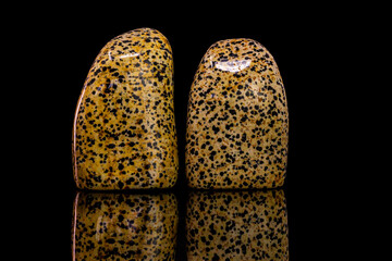 Dalmatian Jasper Polished Freeform Stone – Natural Spotted Gemstone for Healing & Energy Work