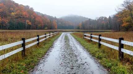 Autumnal rural road, misty hills, fall foliage