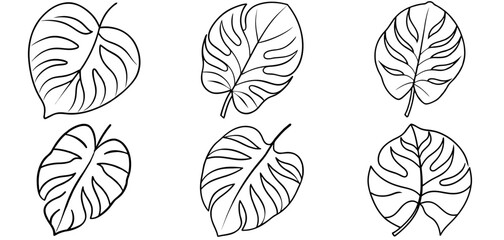 Tropical Leaf Outline Coloring Page Printable Line Art Drawing