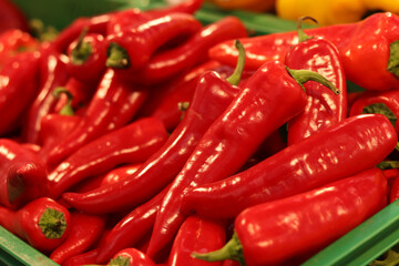 Red pepper on the counter in the store. Ripe peppers in the supermarket, close-up. Ingredient for cooking. Group of fresh red peppers. Healthy eating and vegetarianism. Vegetables at the market