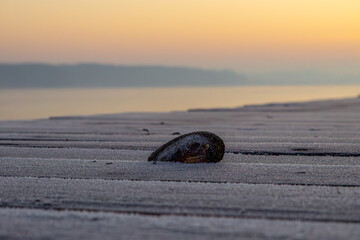 frost-frosted clam shell on wooden pier on winter lake during sunrise.