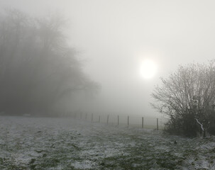 winter panoramic view with fog, ice and snow