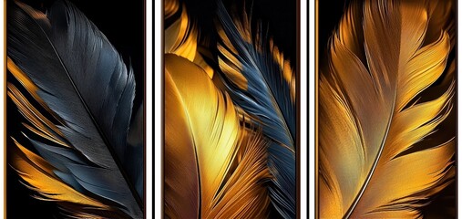 A collection of artistic feather-themed posters featuring abstract designs.