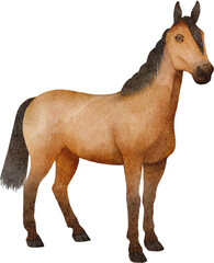watercolor horse © Je