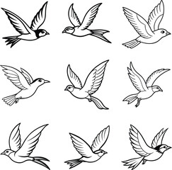 Fototapeta premium set of 9 birds line art vector
