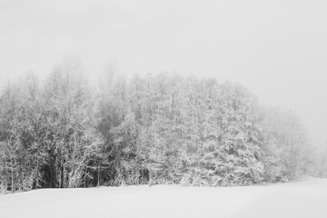 Hoarfrost along Kronborgsetergrenda of rural Toten, Norway, in February 2025.