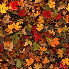 Fototapeta premium Autumn leaves collection nature texture background forest floor close-up vibrant colors and patterns