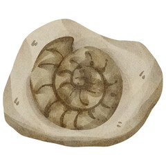 watercolor fossil © Je