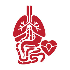 human heart icon
