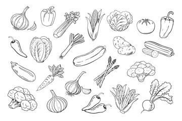 Sketch vegetables icons set. Collection of hand drawn farm product for restaurant menu, market label. Black and white illustration.