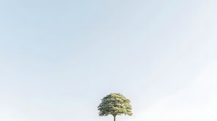 Solitary Green Tree Standing Tall Under a Pale Blue Sky in Minimalist Nature Scene