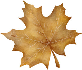 watercolor autumn leaf