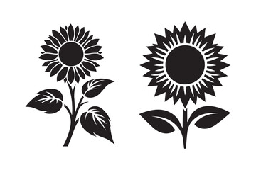 Sunflower silhouette with white background