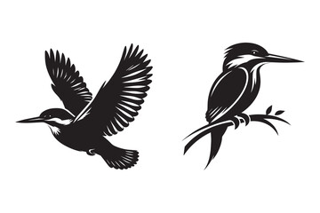 kingfisher silhouette with white background