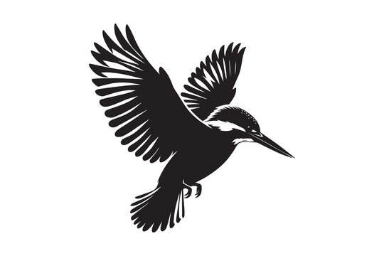 kingfisher silhouette with white background