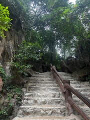 Treppen durch einen mini Dschungel in Thailand