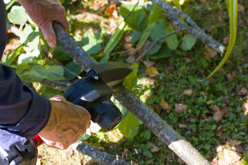 Cordless knot cutter, a tool for seasonal pruning of trees. The man saws off the knots